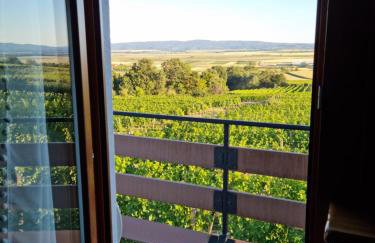 Kuća za odmor Baron - Foto 40