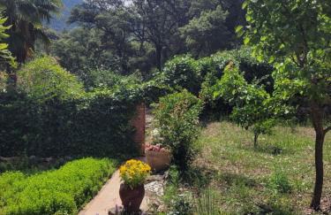 Trocito de Paraíso en la Sierra Espadán - Foto 36