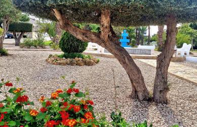 Lago Jardin , CHILL CASA - Foto 21