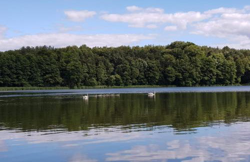 DOMEK W JERSEY PRZY PLAŻY - Foto 2