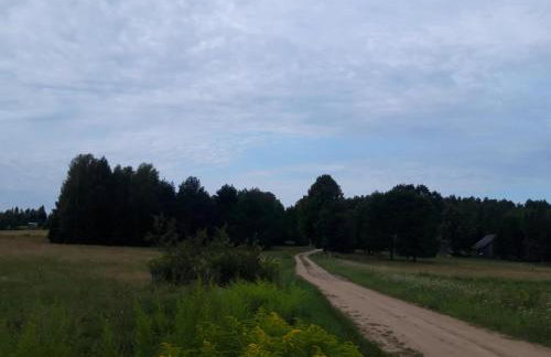 Dom na Kresach Grzybowszczyzna - Photo 34