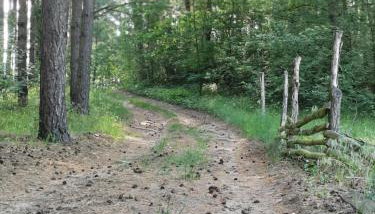 Polne Zacisze - Foto 5