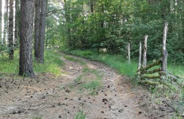 Polne Zacisze - Foto 5