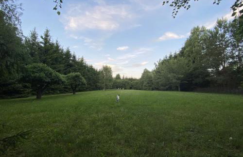 Sielanka Kretowiny - Foto 16