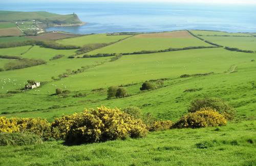 The Old Post Office - Photo 22