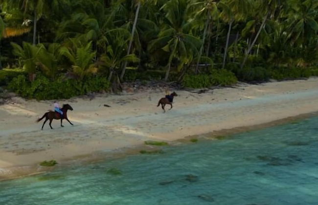 Samui Parkville Lipa Noi Villas - Foto 39