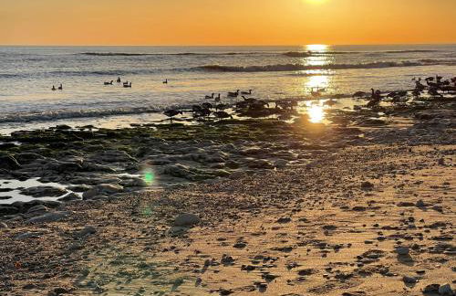 Les 4 Belles maison Ile de Ré - Foto 25