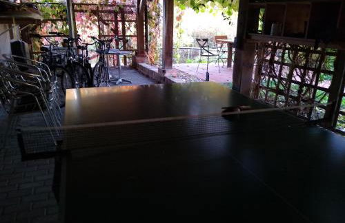 Große Ferienwohnung in Peetzig am See - Foto 39