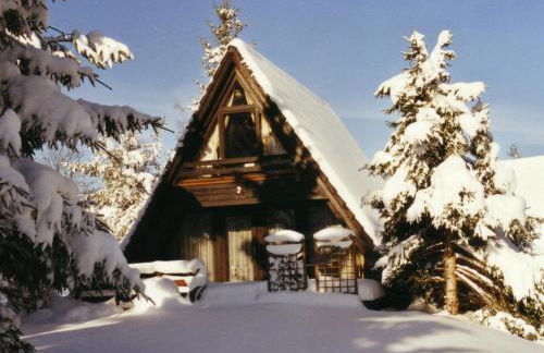 Holiday Home Tennenbronn-1 by Interhome - Foto 13