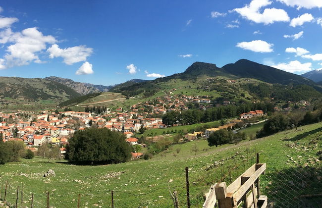 Finday Eco Boutique Hotel - Foto 45