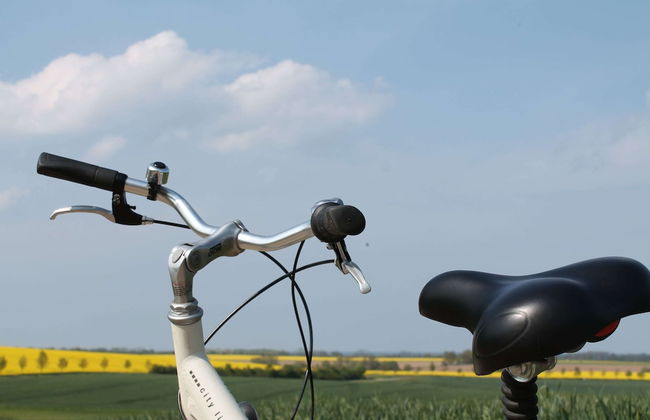 Warnkenhagen Garden Bungalow - Foto 18