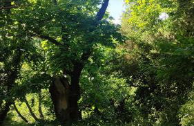 Appartamento Il Castagno - Foto 17