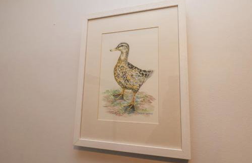 Dabbling Ducks - Foto 25