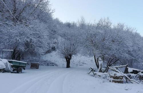 suite in cascina affittacamere - Photo 53