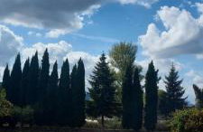 Chalet Stiga Kalavrita - Maisonettes - Foto 50