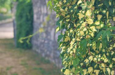 Apartment Gabriela - Foto 42