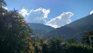 Casa de Araras - Foto 1