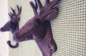 Arber Apartments - Zwieslerwaldhaus - Foto 12