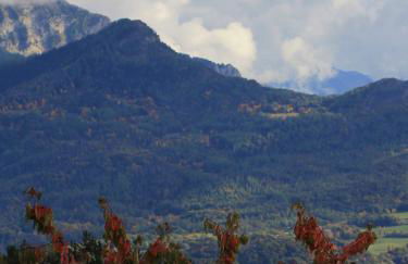 La Marmotte - Photo 12