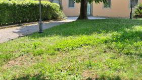 Dépendance in Villa Albachiara - Photo 2, Garden