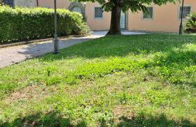 Dépendance in Villa Albachiara - Photo 2