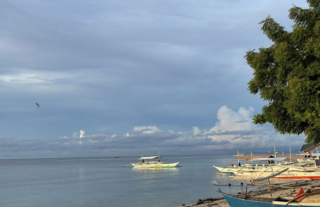 The Whitehouse by the Sea - Photo 61