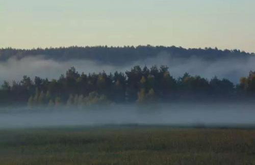 Agroturystyka Borówka - Foto 33