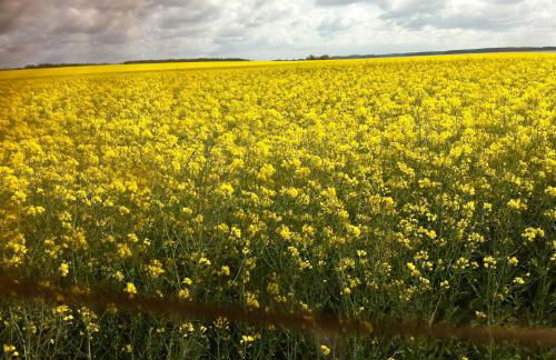 Peeneurlaub - Foto 44