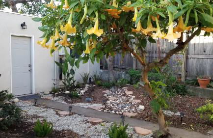 Remodeled Cottage in Berkeley/Oakland Rockridge - Foto 1