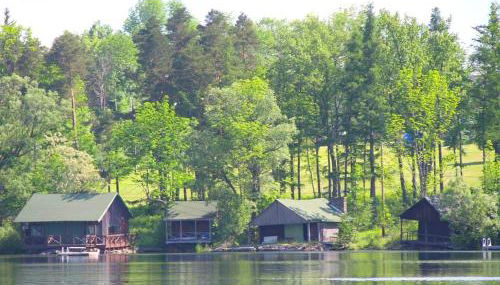 Peaceful Private Cabin on Crystal Lake near Elk Mountain, Pennsylvania - Foto 1