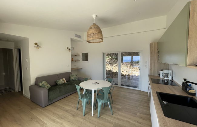 Les Mini-villas de Santa-giulia - Foto 40