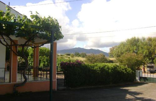 Tapada da Beirã - Foto 33