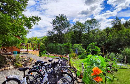 Księżycowe Domki w Bieszczadach - Foto 11