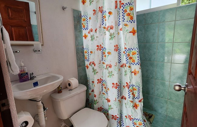 Selvática del Toro - Foto 33