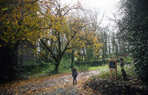 The Little Retreat, Pembrokeshire - Photo 65