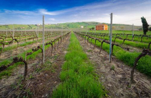 Agriturismo Agrimare Barba - Foto 55