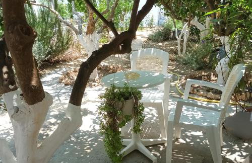 Magnolia Senses - Foto 21