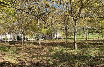 Andrea Sofi Guesthouse - Photo 23