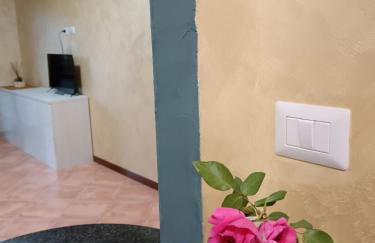 Friend of all the world - Giardino di Roma - Casal Bernocchi - Acilia - Foto 32