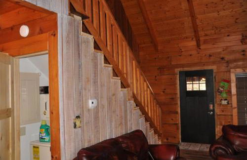 Bears Among Us - Foto 32