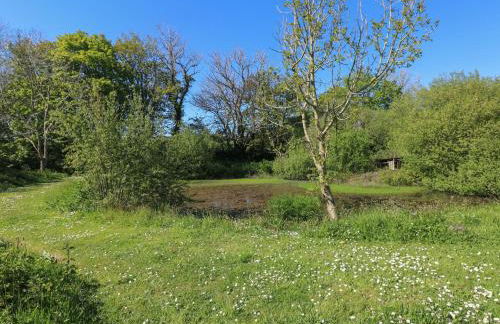 Chapel Hill House - Foto 33