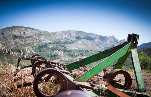 Casa Amparo - Alquiler íntegro con encanto en Alicante - Foto 41