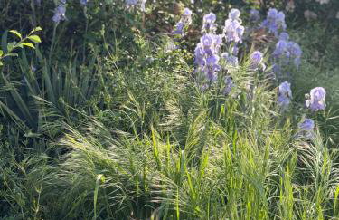 Le Clos Saint James 5 étoiles - Foto 11