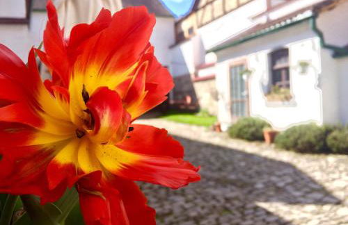 3 Seiten Ferienwohnung - Foto 1