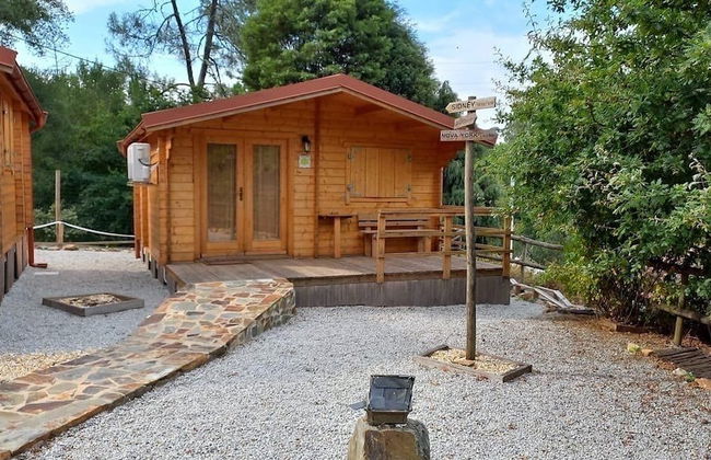 Mimosa Village - Foto 29