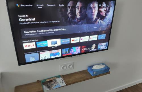 Appartement T2 "JUNGLE" Centre Ville de VITRÉ au calme coté cour - Foto 9