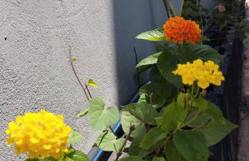 Casa do Léo Brotas - Foto 13