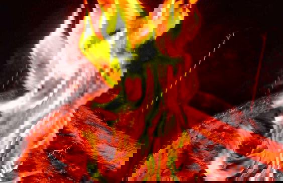 Unique Stargazing Escape With Ocean View - Foto 13