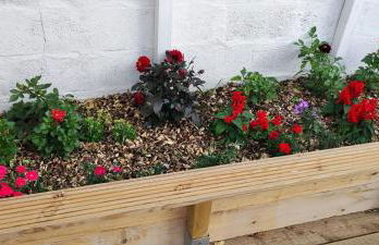 La maison du bout - Foto 33