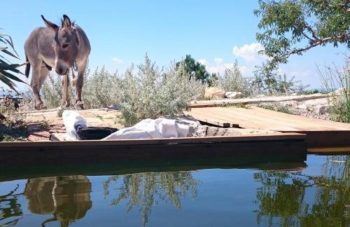 Villa Suzi - Family Farm Stay with Donkeys, Pool and Sea View near Rijeka - Photo 56